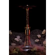 Imagine 4/15 - Narghilea Steamulation Pro X III Crystal