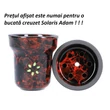 Imagine 2/2 - Creuzet Narghilea Solaris Eva Red-black