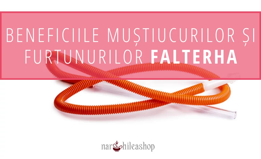 Beneficiile muștiucurilor și furtunurilor Falterha
