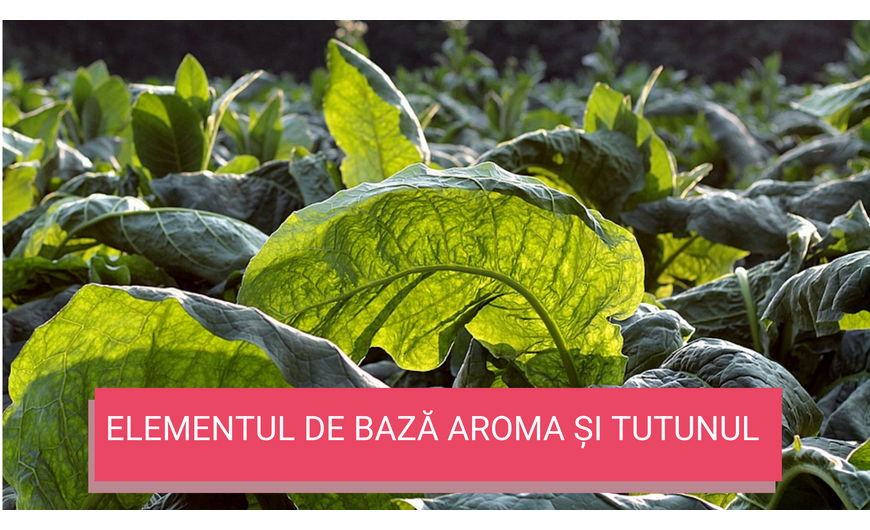 Elementul de bază: aroma și tutunul
