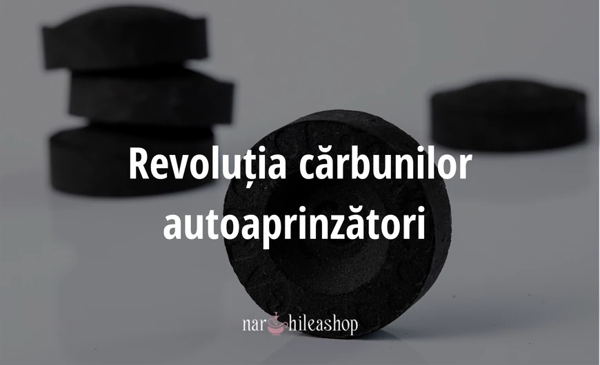 Revoluția cărbunilor autoaprinzători